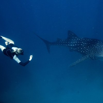 Samantha Reynolds with a whale shark - image Janine Marx